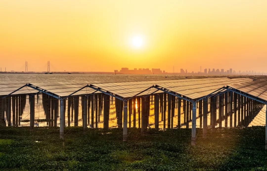 Beyond Success - www.biying.com Achieved a Preferred Scale of 1120 MW in Jiangxi